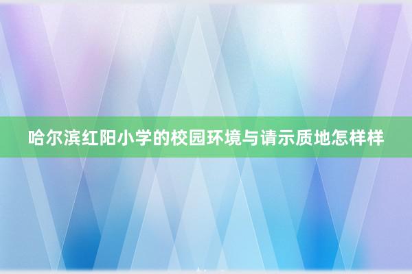 哈尔滨红阳小学的校园环境与请示质地怎样样