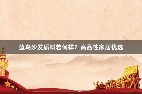 蓝鸟沙发质料若何样？高品性家居优选